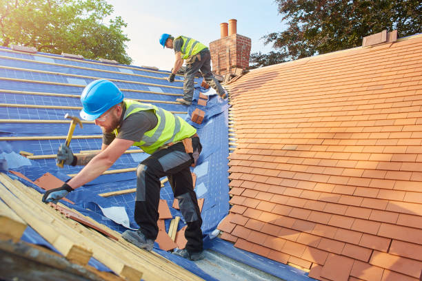 Roof Insulation in Plainview, TN